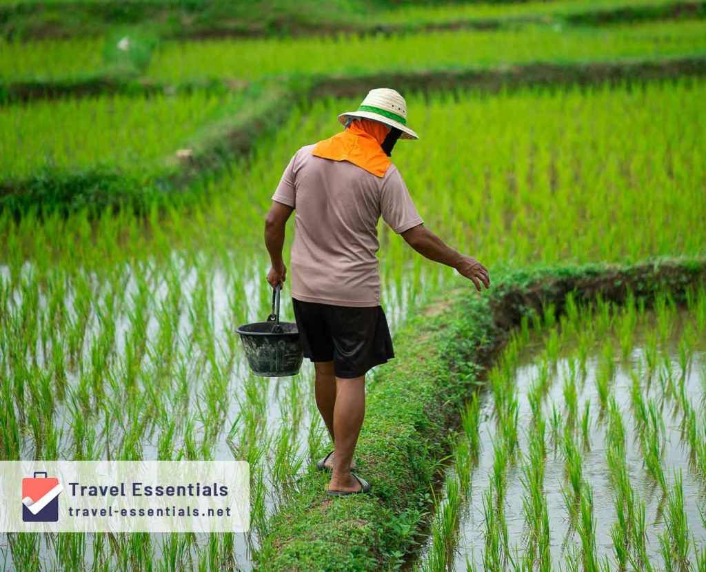best month in thailand